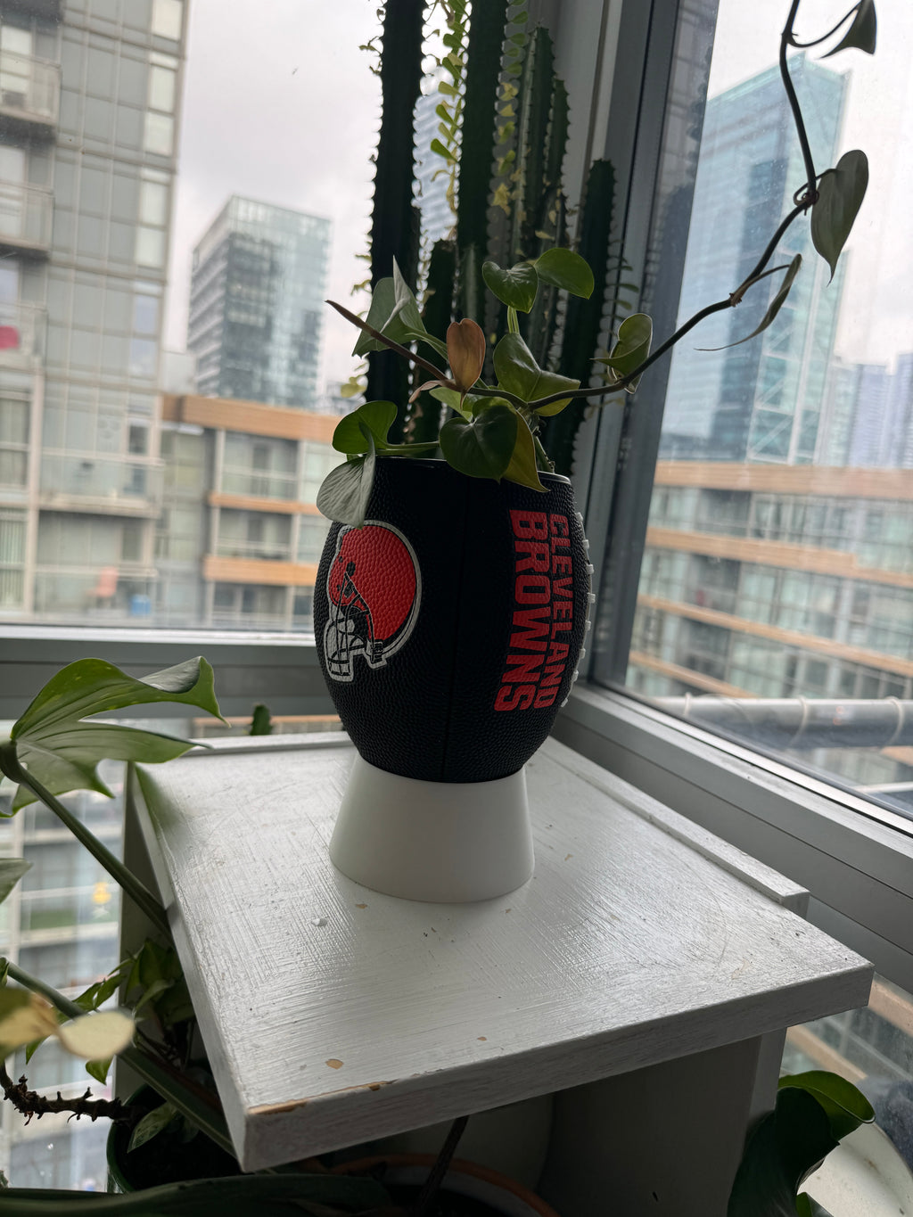 Mini Football Planter (Cleveland Browns)