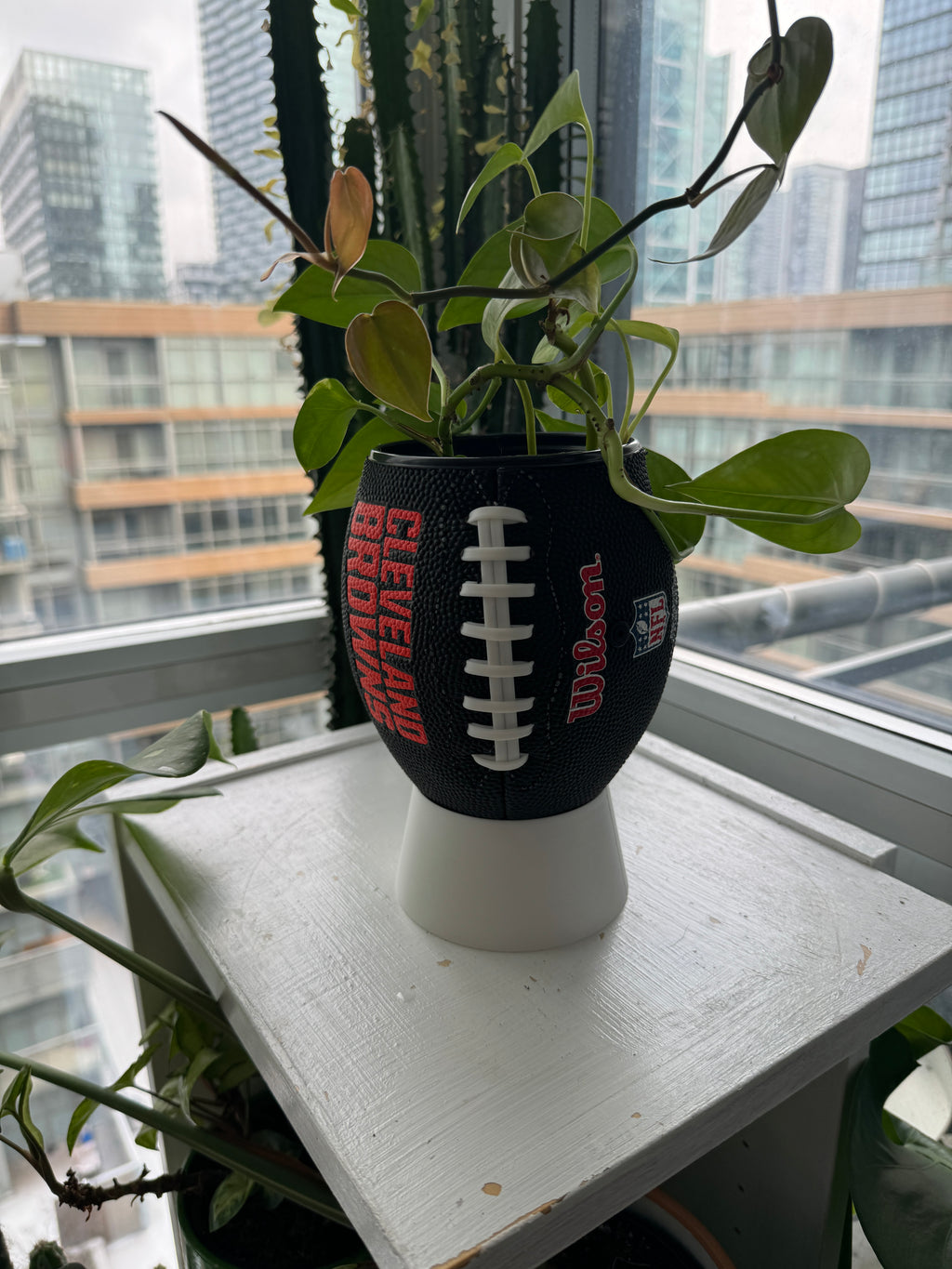Mini Football Planter (Cleveland Browns)