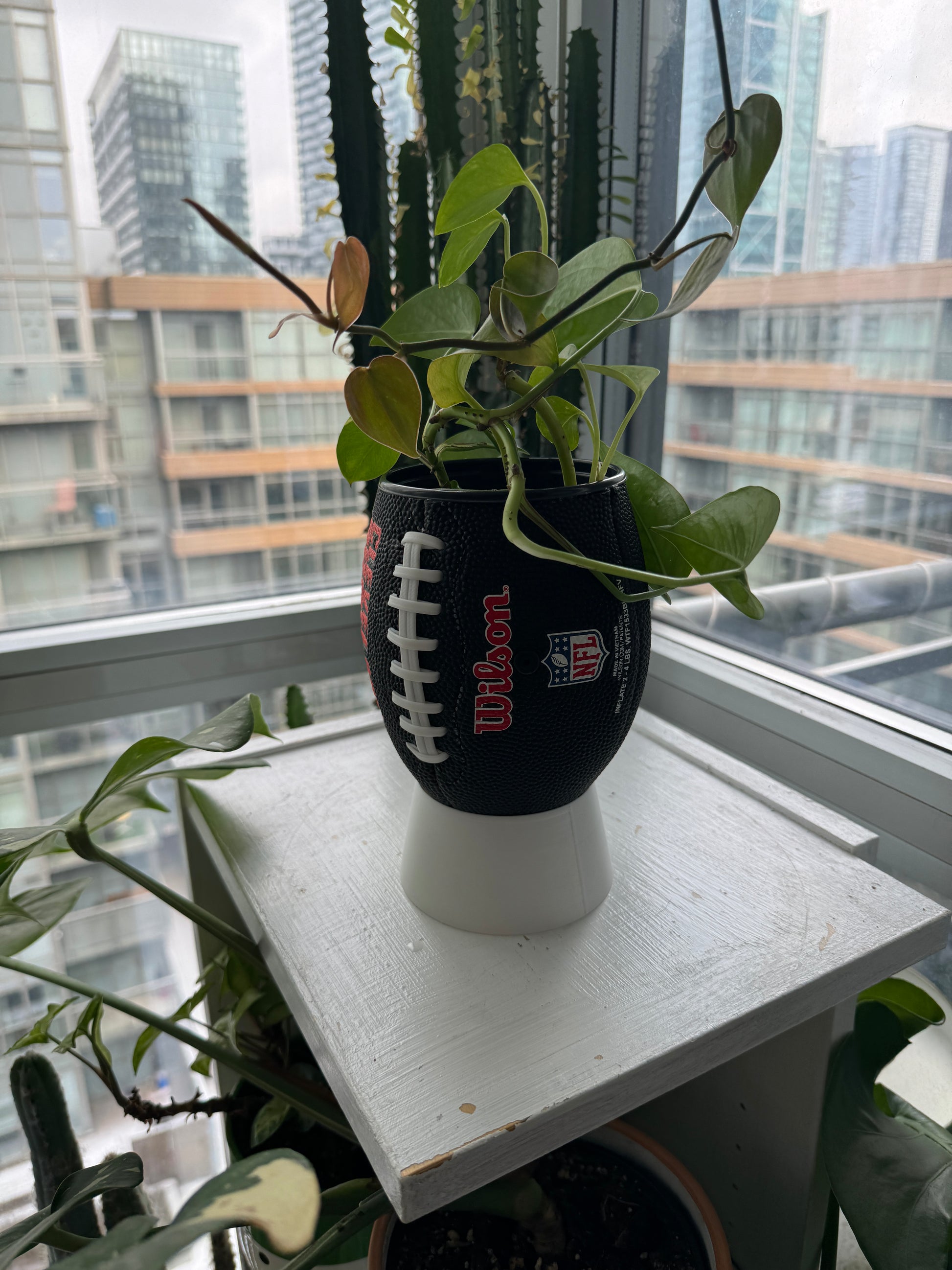 Mini Football Planter (Cleveland Browns)
