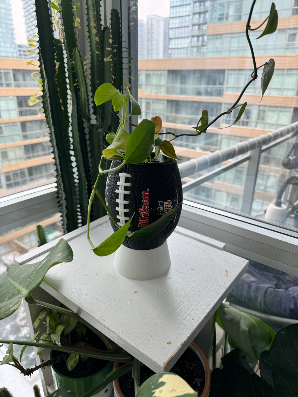 Mini Football Planter (Cleveland Browns)