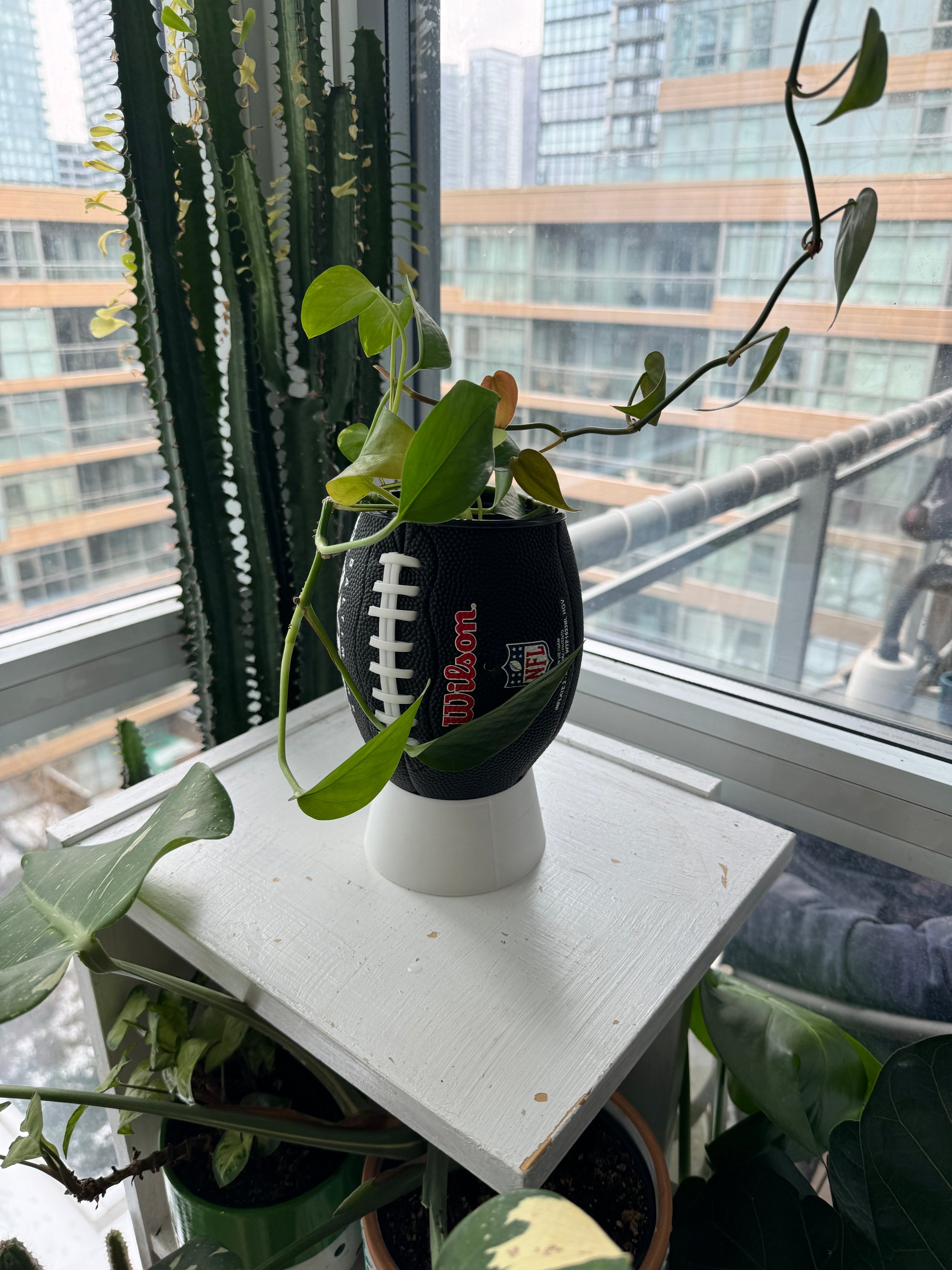 Mini Football Planter (Cleveland Browns)