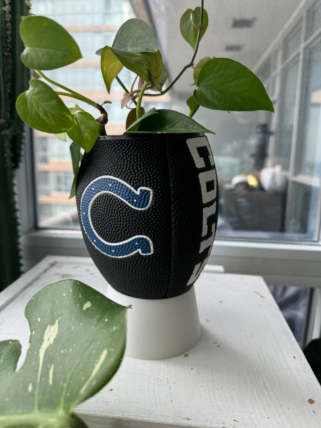 Mini Football Planter (Indianapolis Colts)