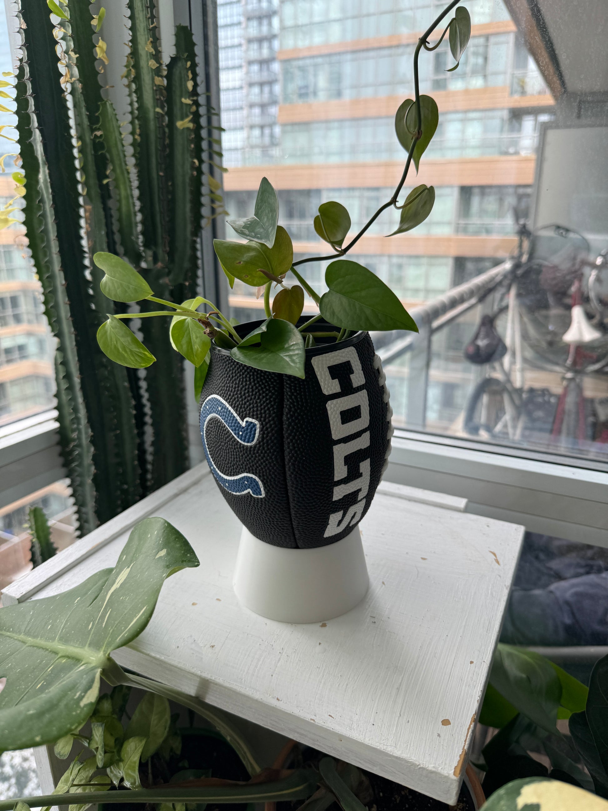 Mini Football Planter (Indianapolis Colts)
