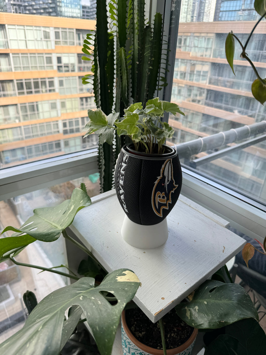 Mini Football Planter (Baltimore Ravens)
