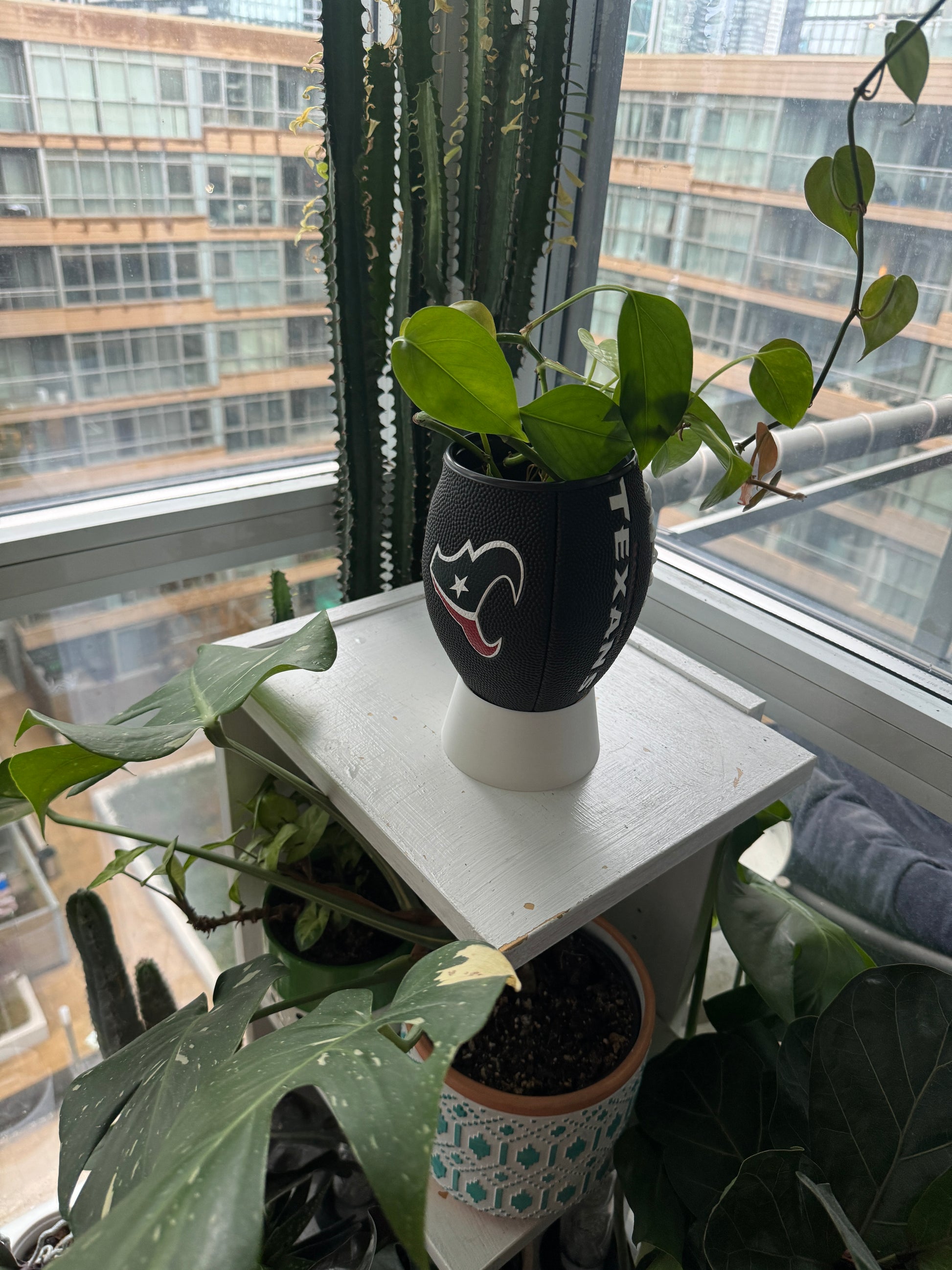 Mini Football Planter (Houston Texans)