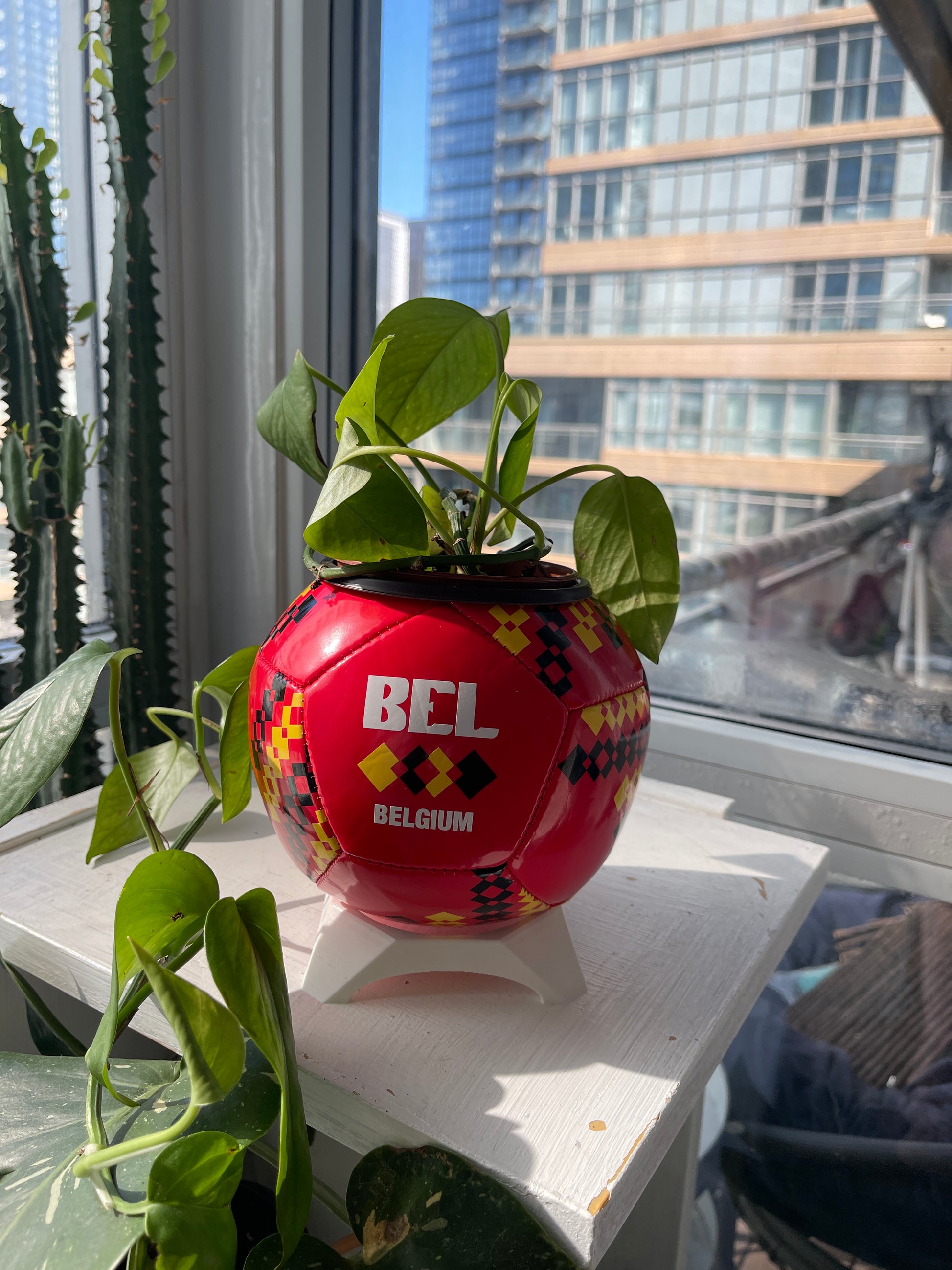 Mini Soccer Ball Planter (Belgium)