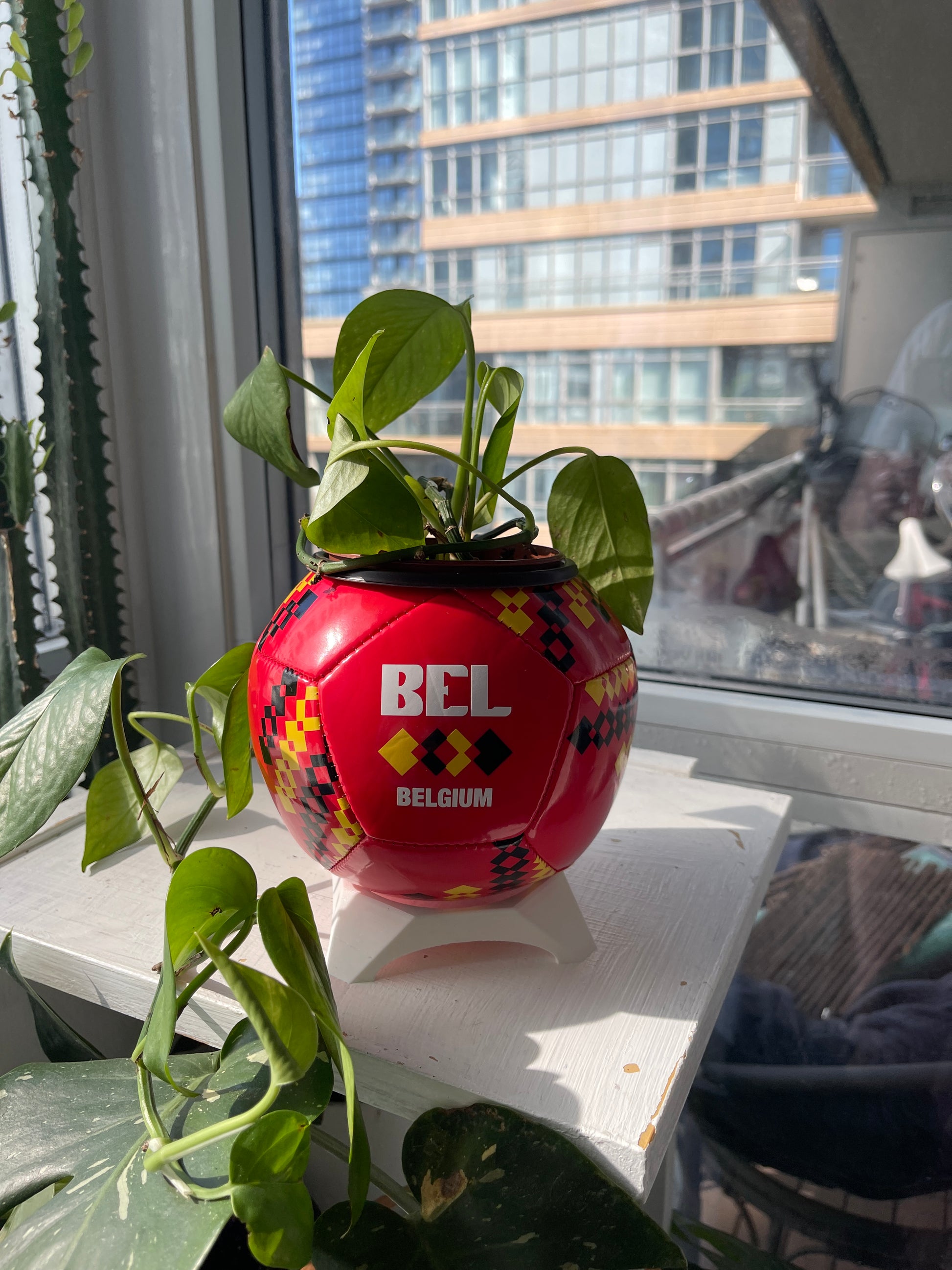 Mini Soccer Ball Planter (Belgium)