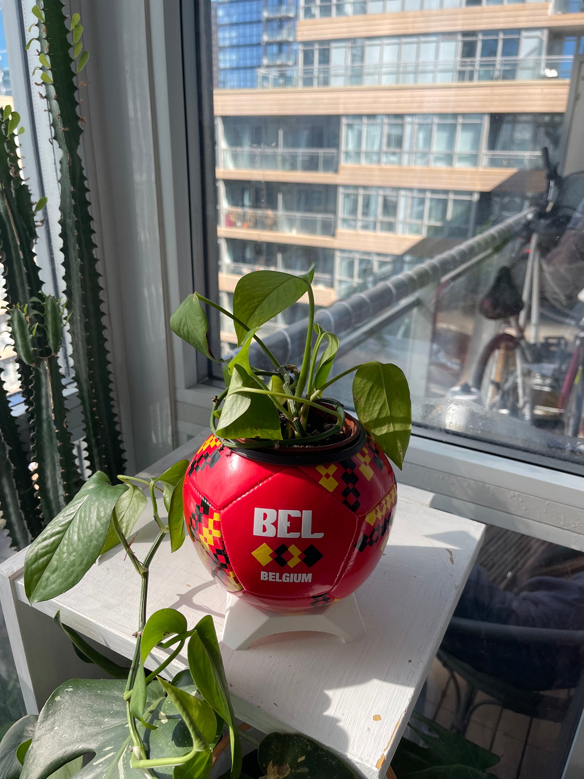 Mini Soccer Ball Planter (Belgium)