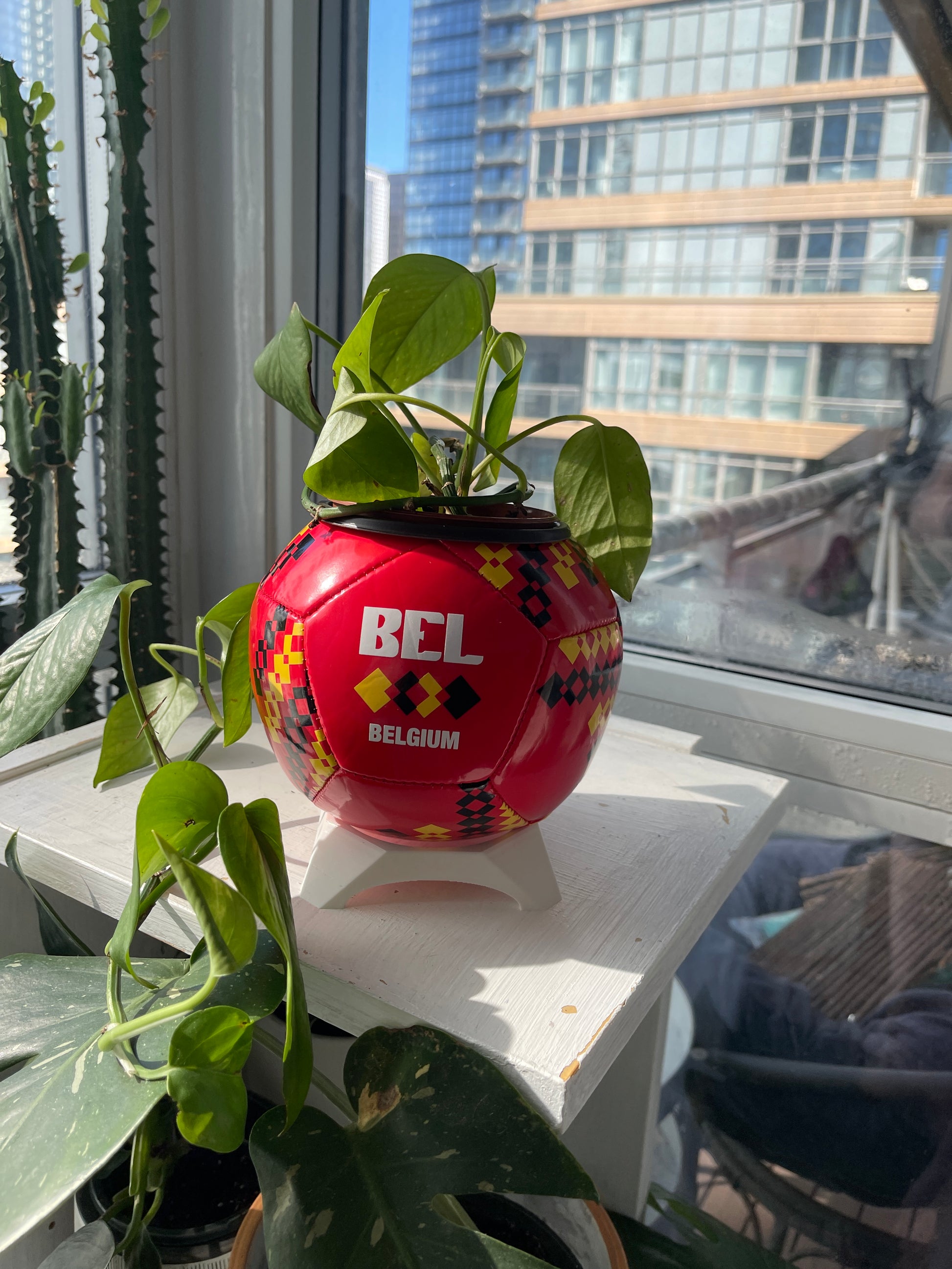 Mini Soccer Ball Planter (Belgium)
