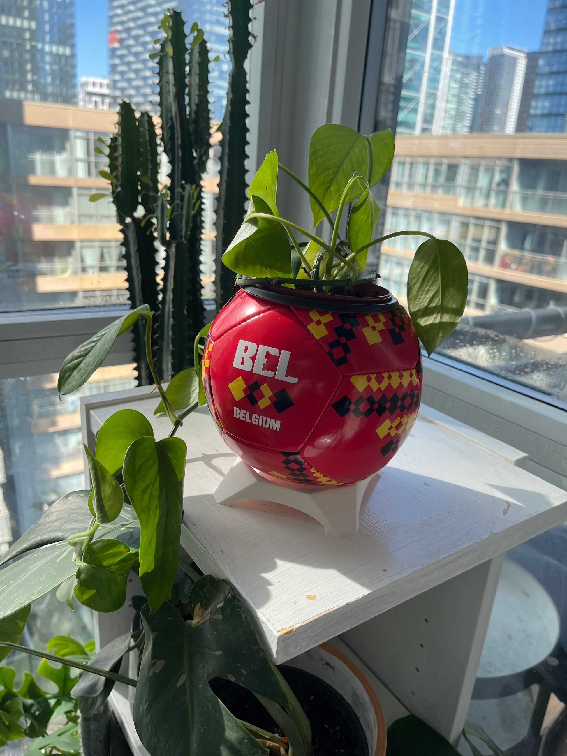 Mini Soccer Ball Planter (Belgium)