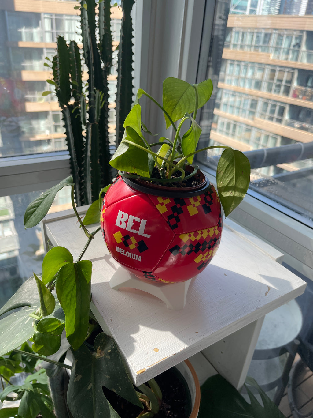 Mini Soccer Ball Planter (Belgium)