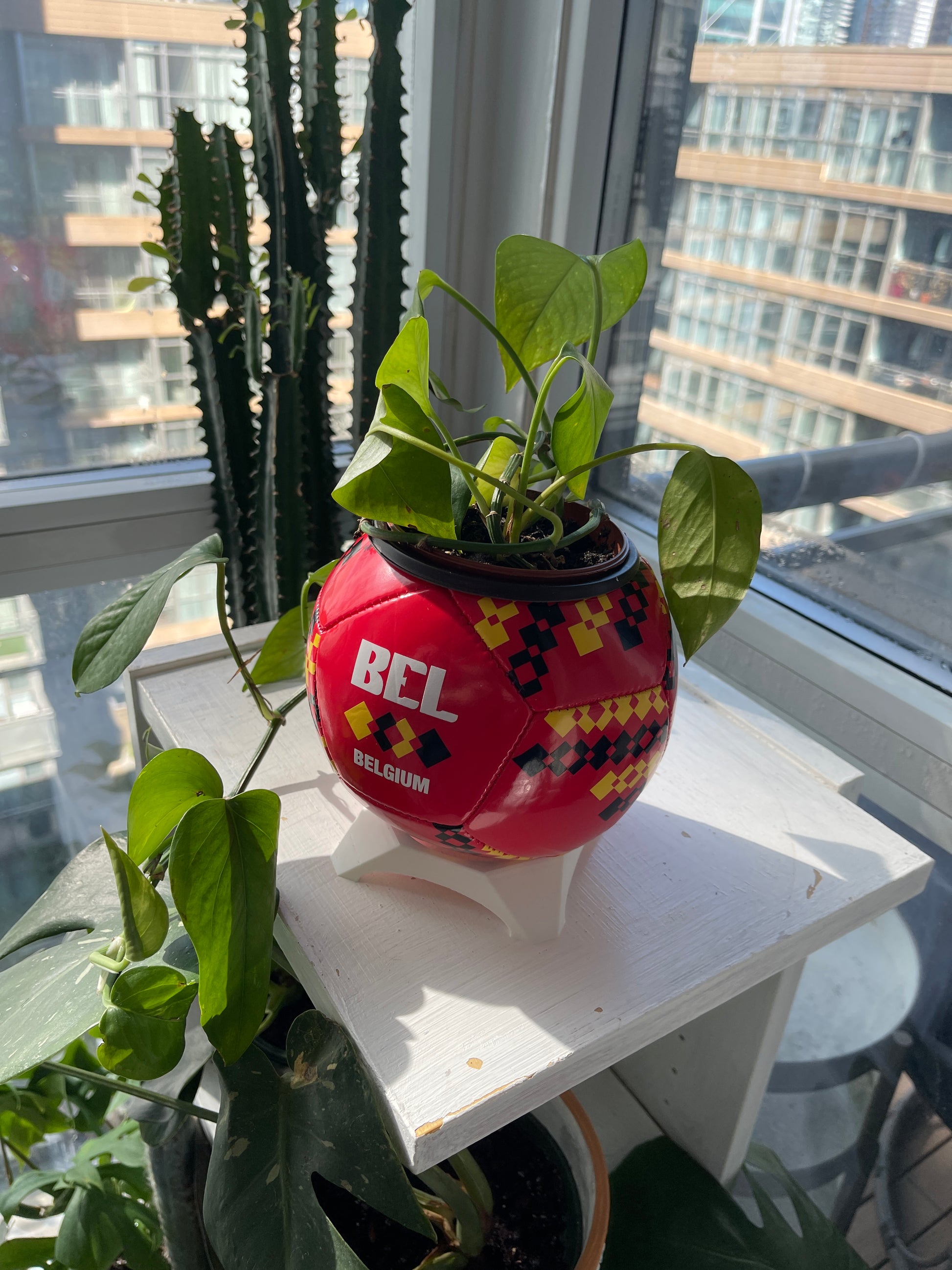 Mini Soccer Ball Planter (Belgium)
