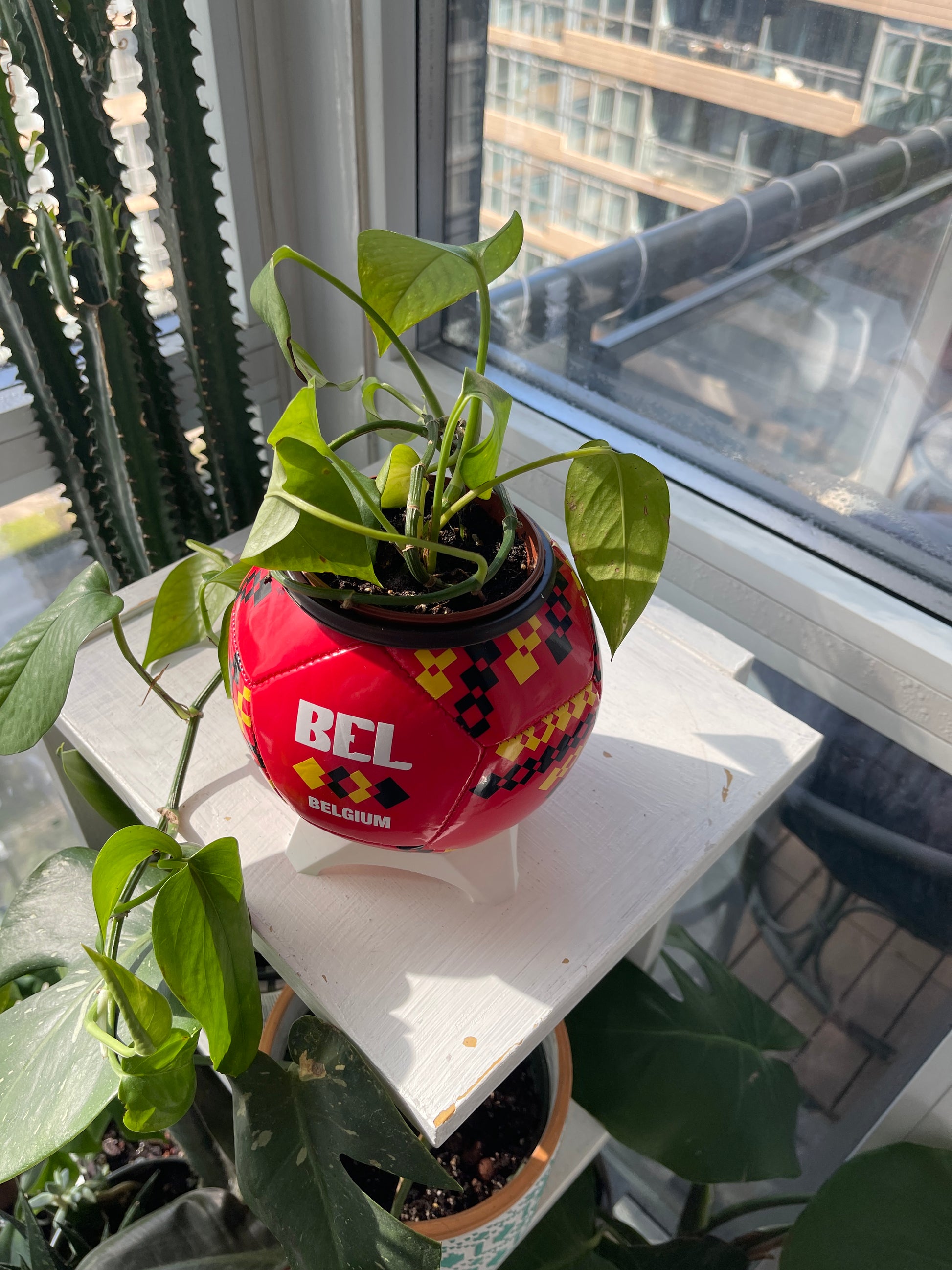 Mini Soccer Ball Planter (Belgium)