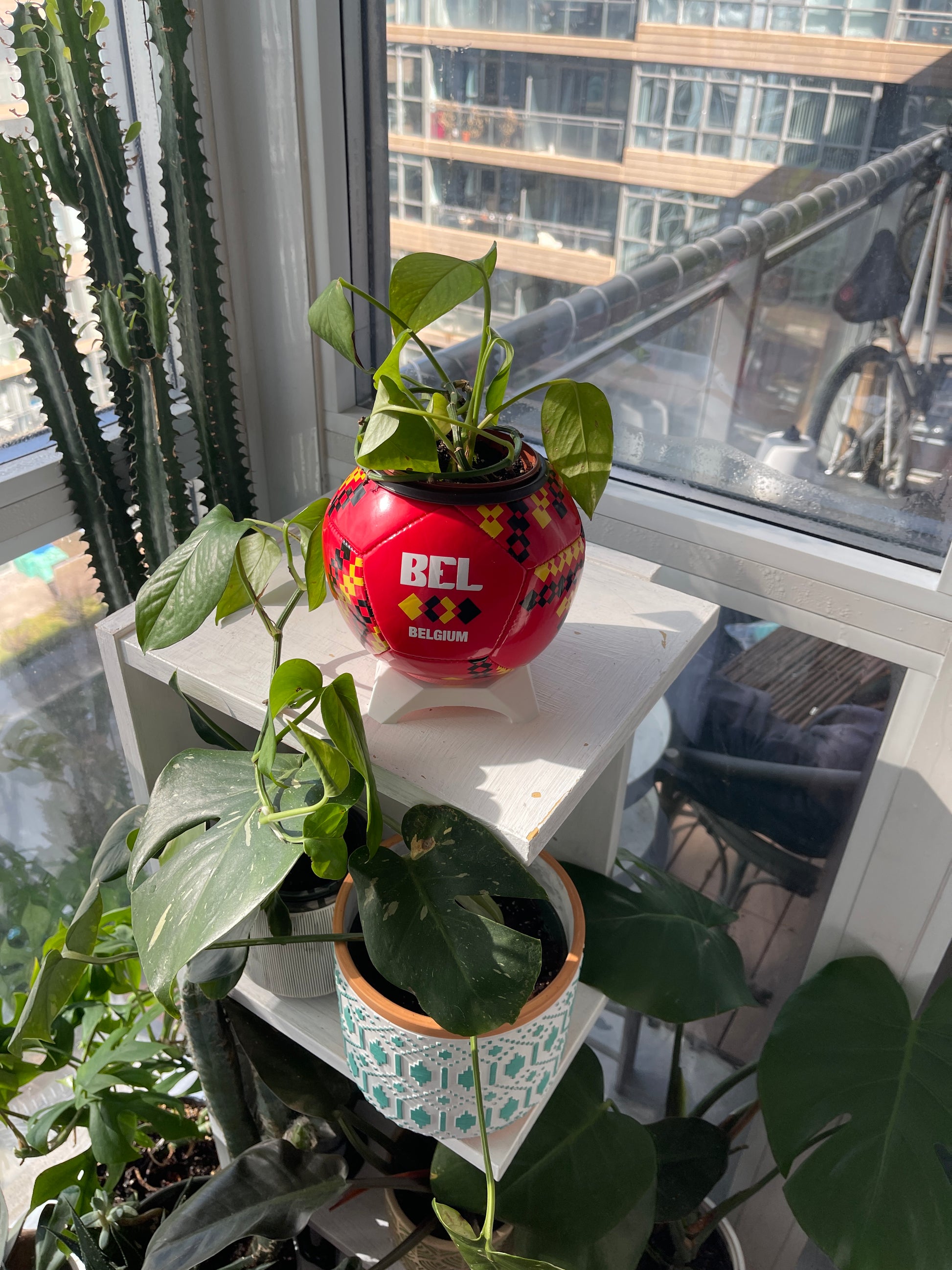 Mini Soccer Ball Planter (Belgium)