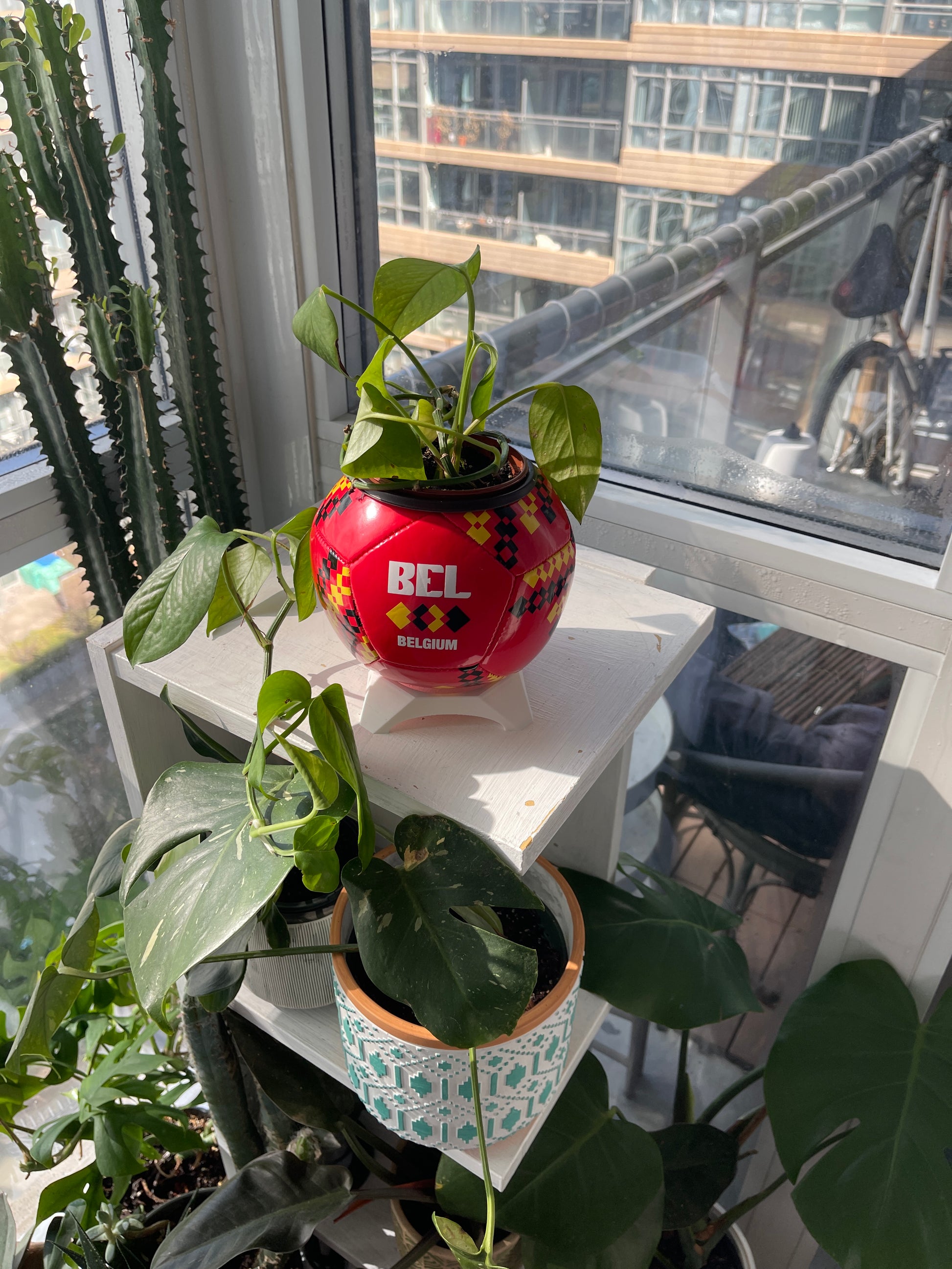 Mini Soccer Ball Planter (Belgium)