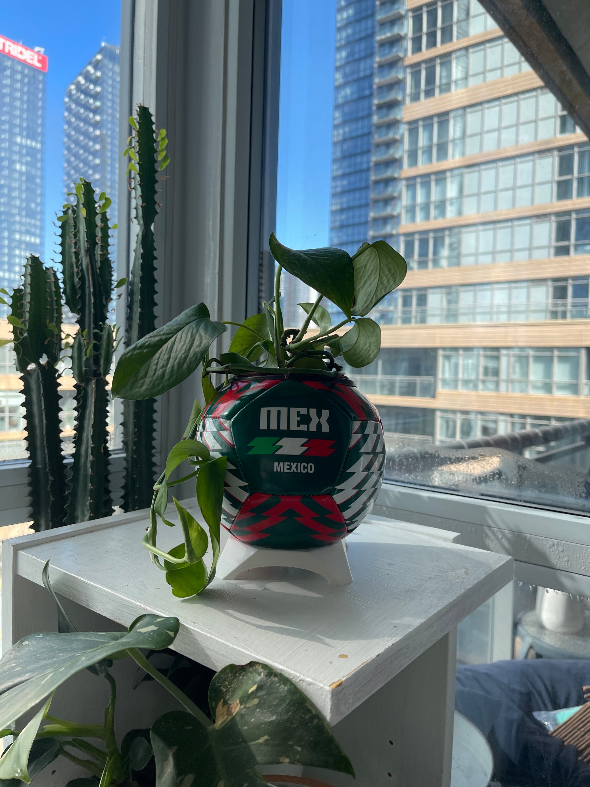 Mini Soccer Ball Planter (Mexico)