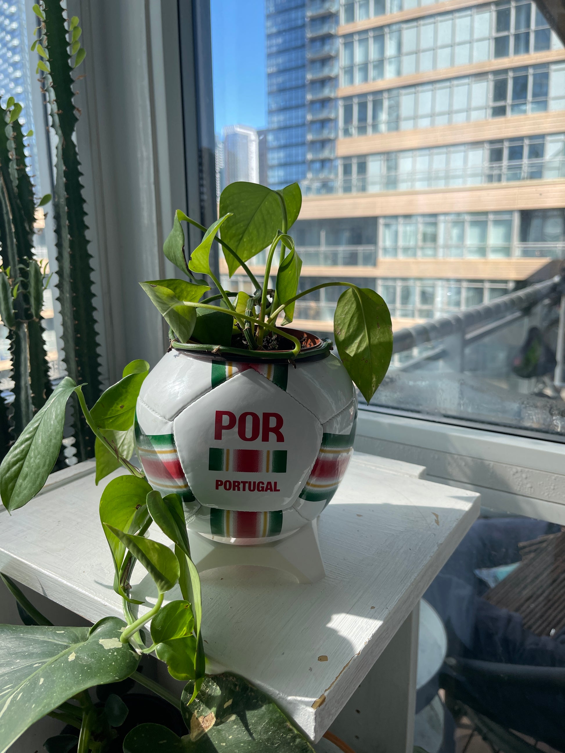 Mini Soccer Ball Planter (Portugal)