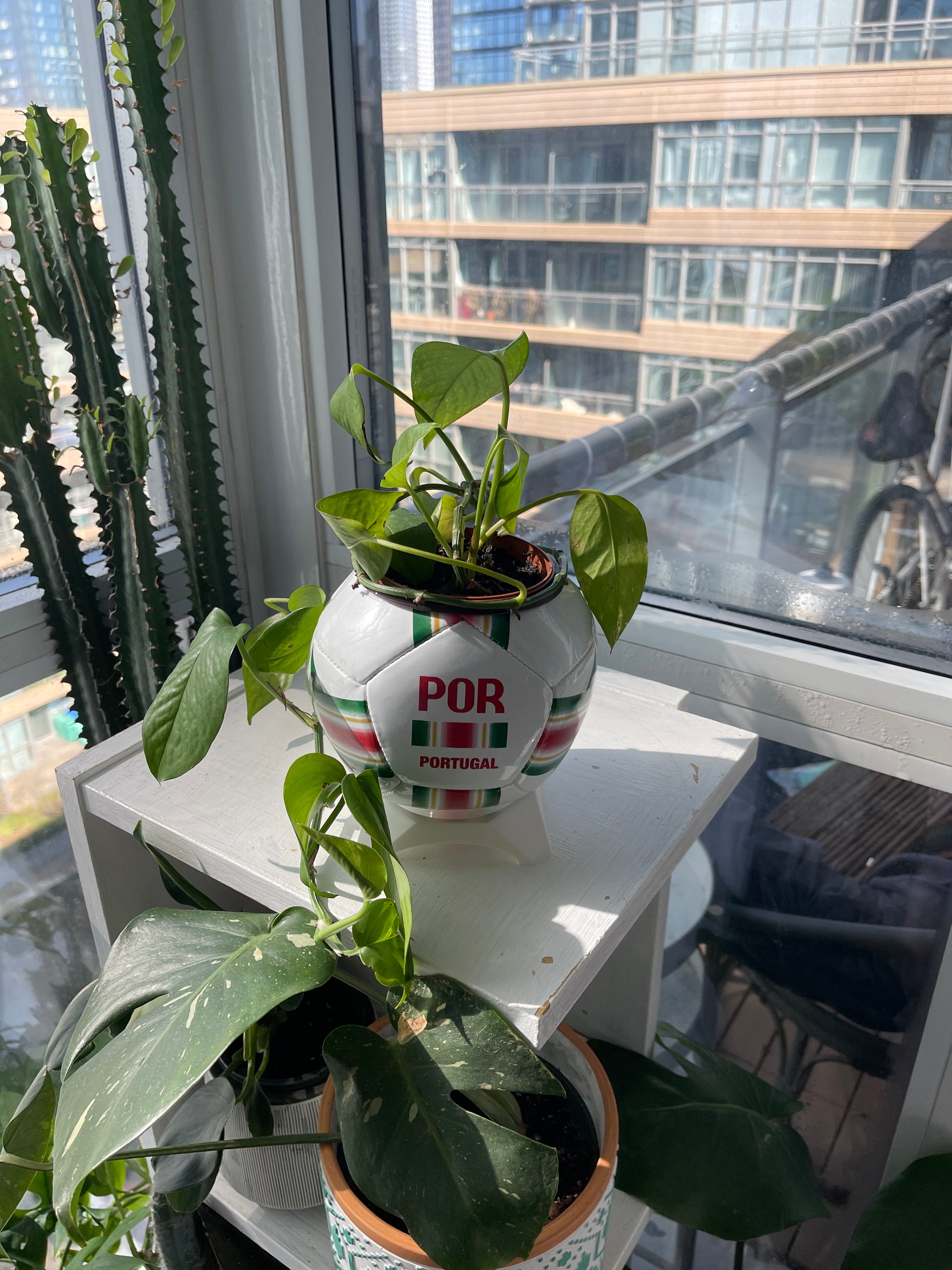 Mini Soccer Ball Planter (Portugal)