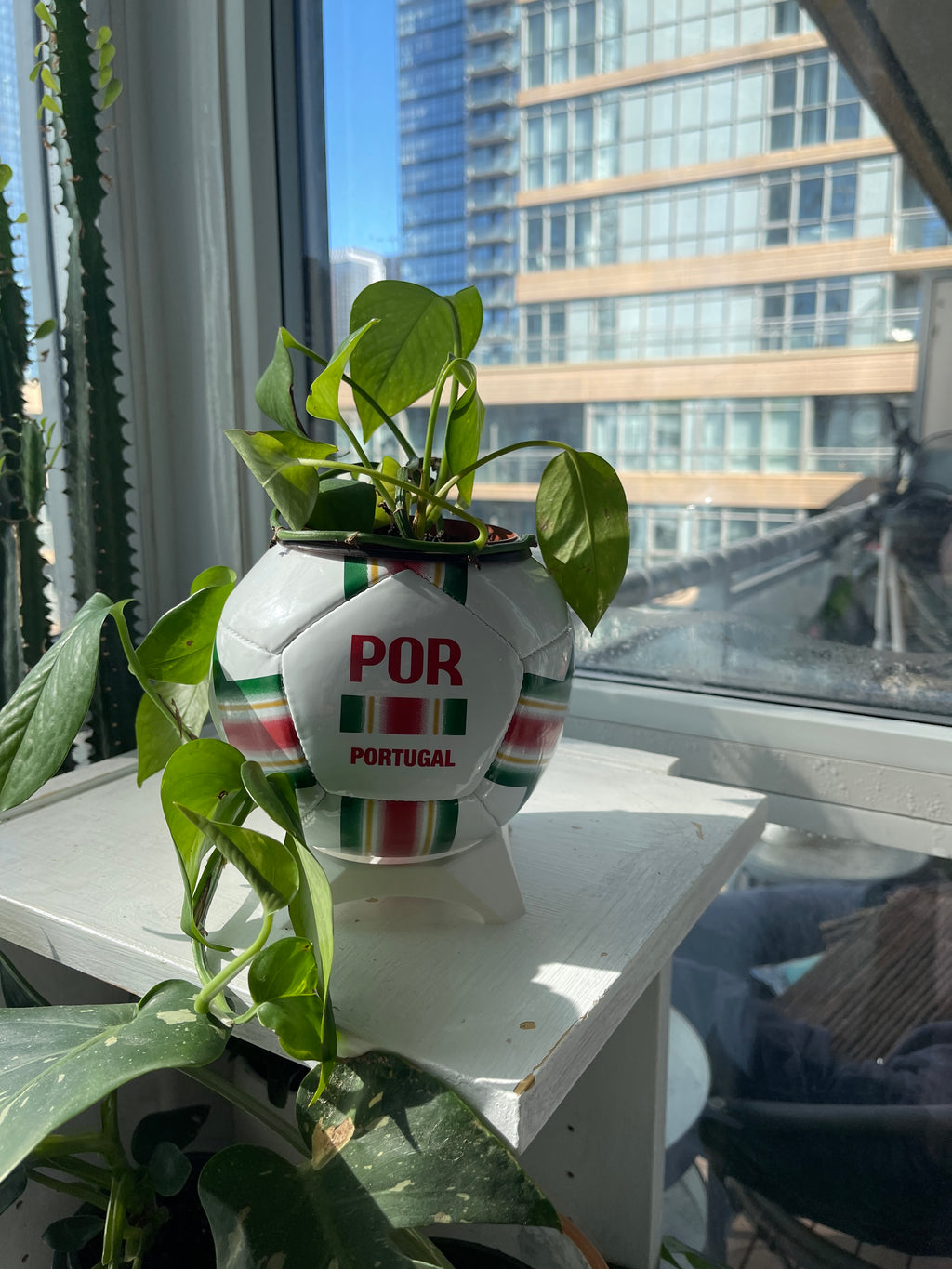 Mini Soccer Ball Planter (Portugal)
