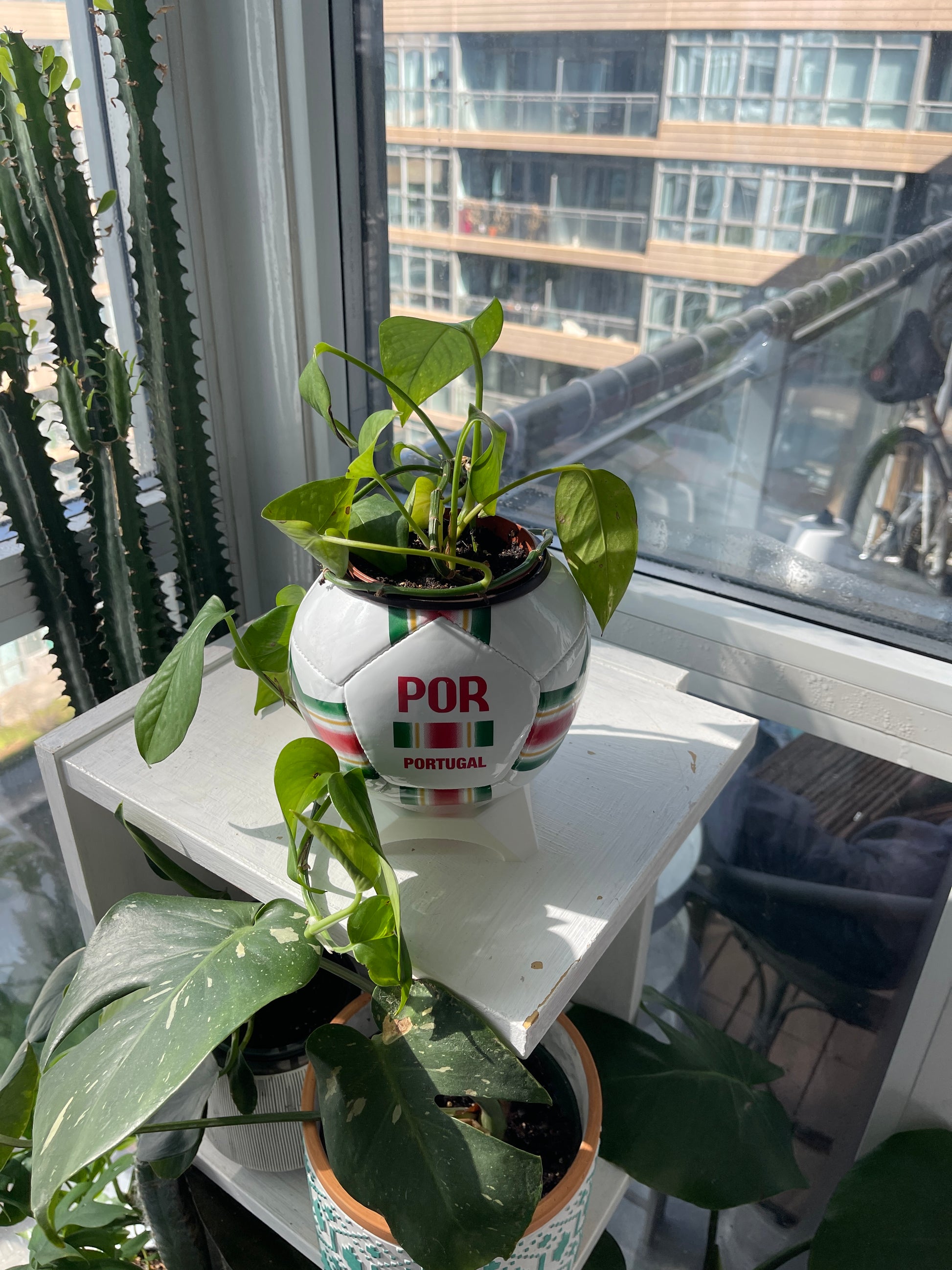 Mini Soccer Ball Planter (Portugal)