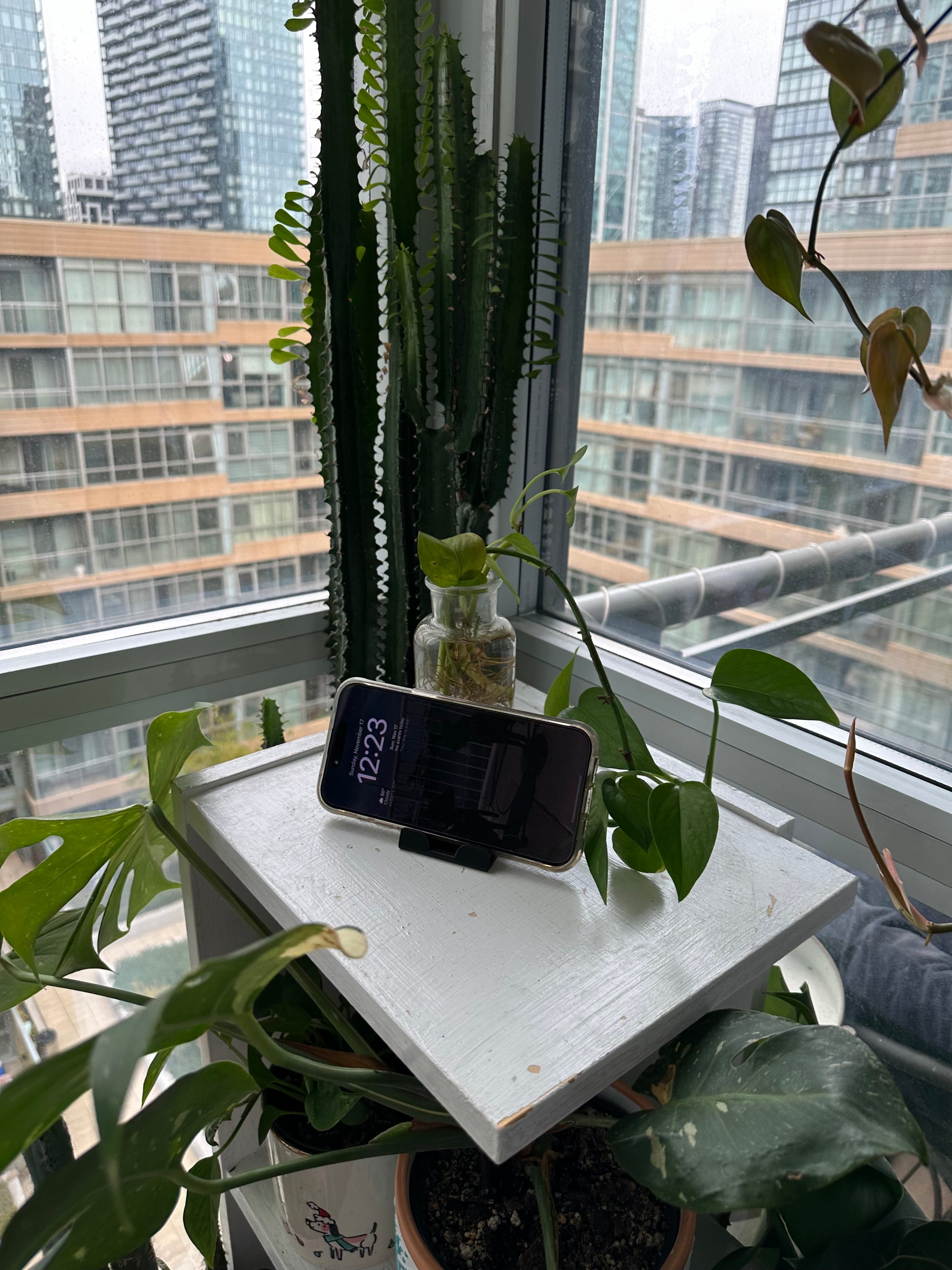 Phone Stand