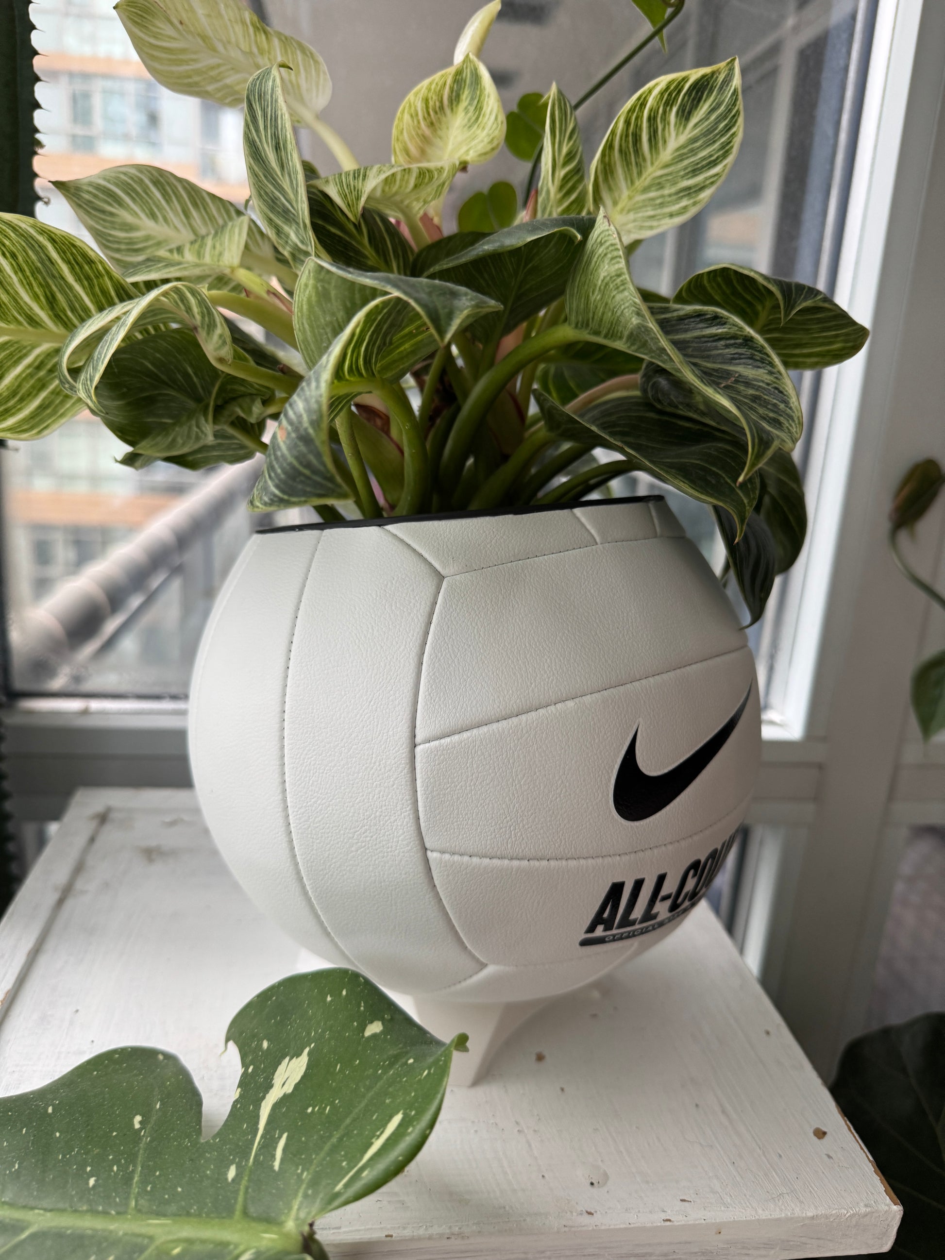 Nike Large Volleyball Planter (Original)