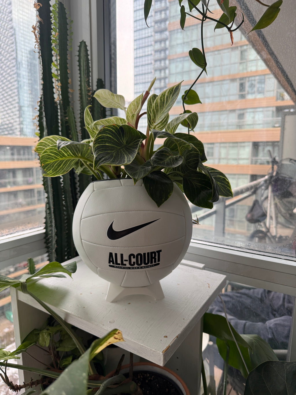 Nike Large Volleyball Planter (Original)