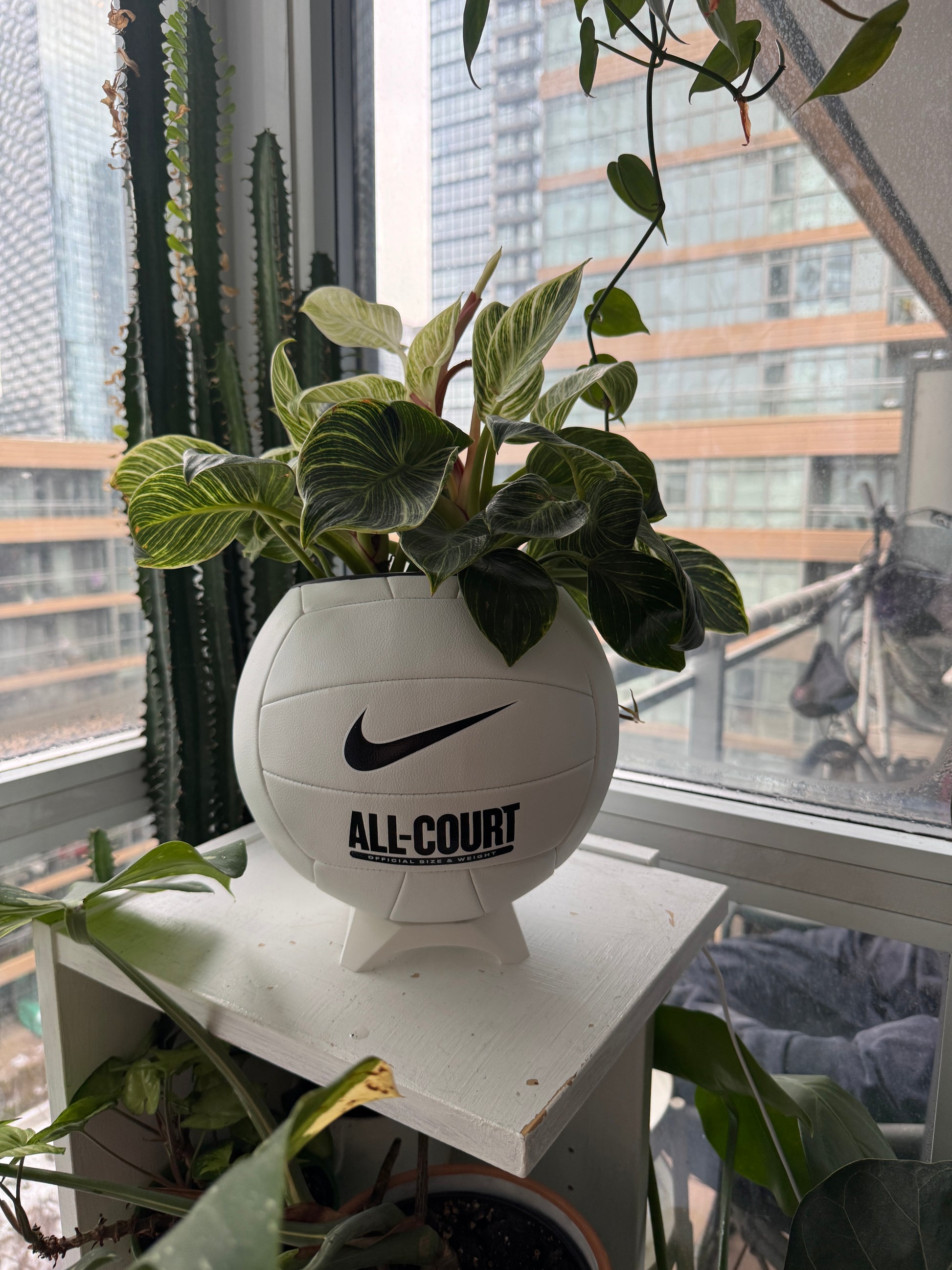 Nike Large Volleyball Planter (Original)