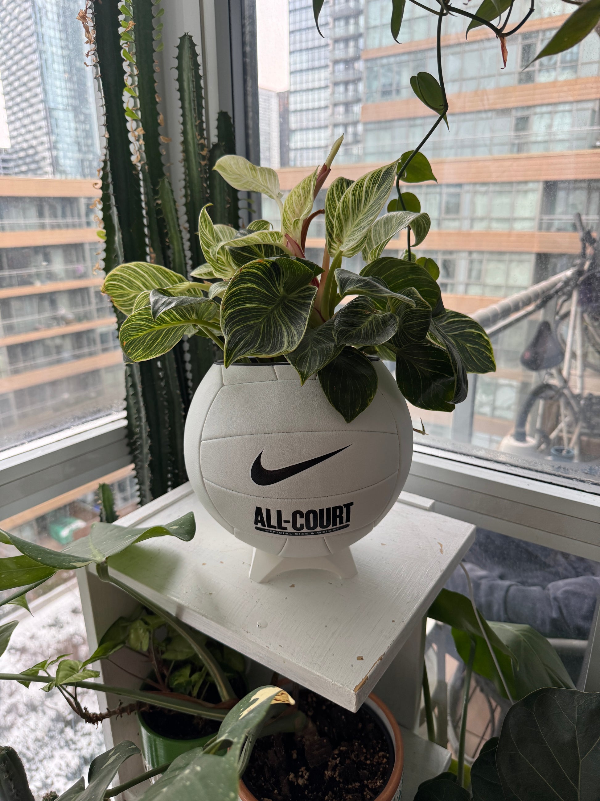 Nike Large Volleyball Planter (Original)