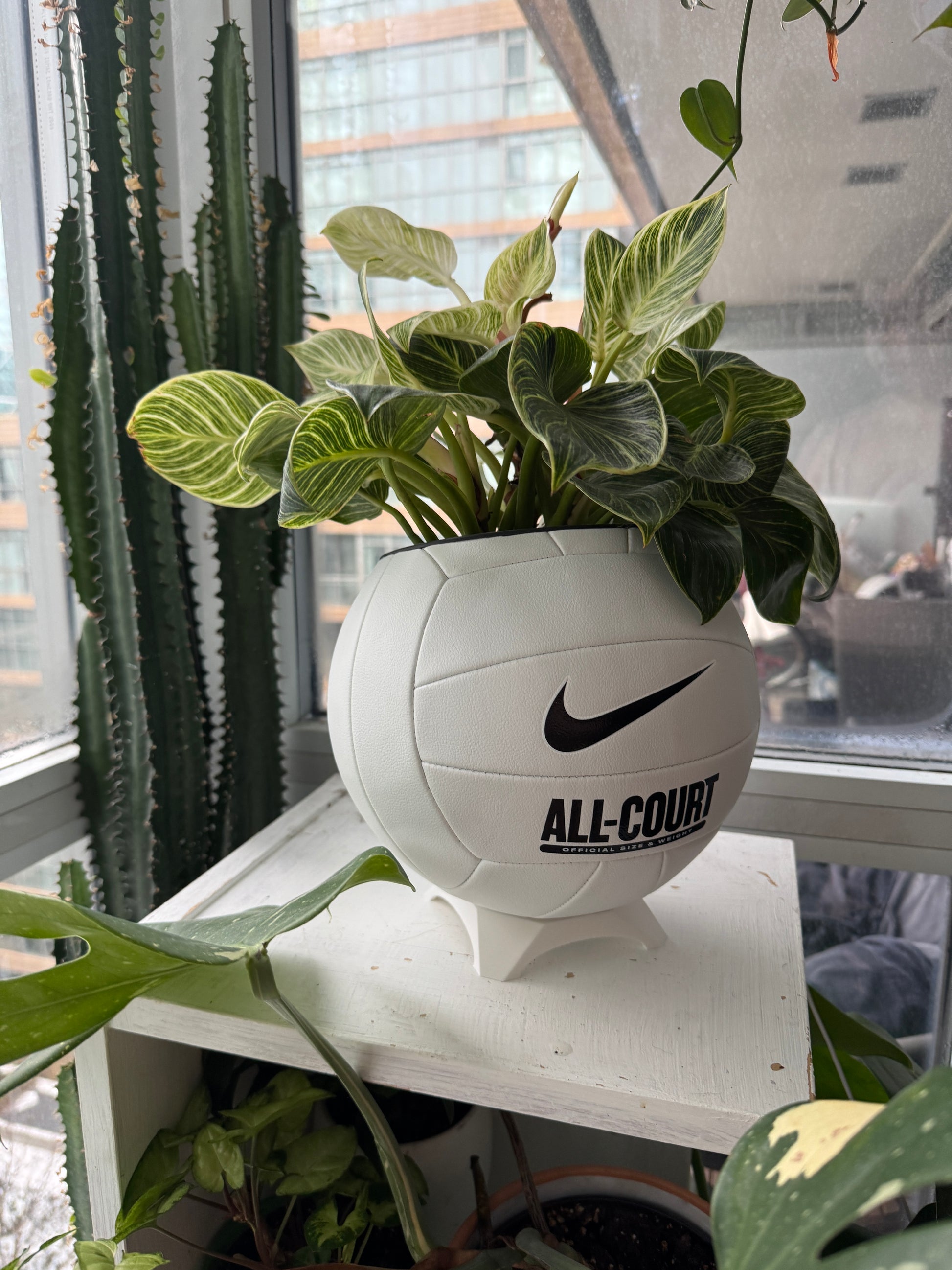Nike Large Volleyball Planter (Original)