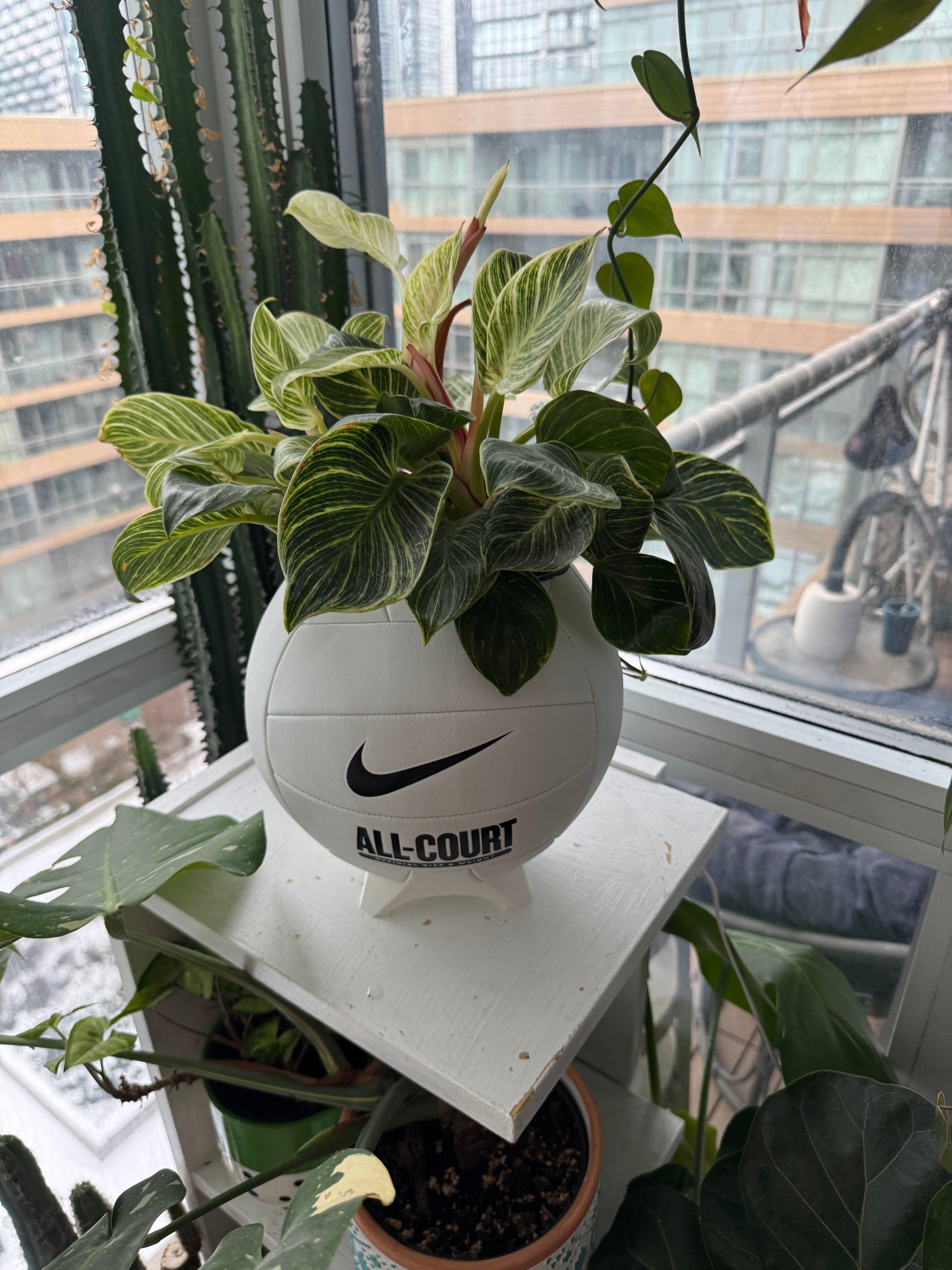Nike Large Volleyball Planter (Original)